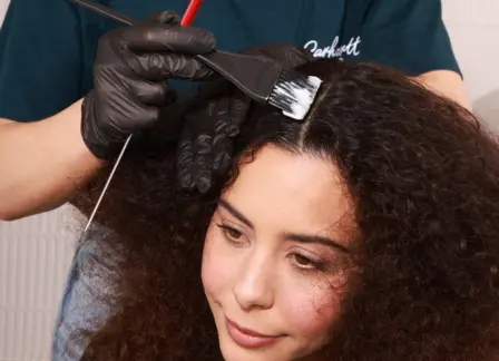 HAIR COLOURISTS