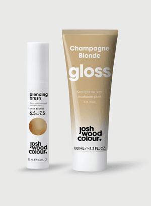 Colour Extender Kit: Dark Blonde Blending Brush & Champagne Gloss